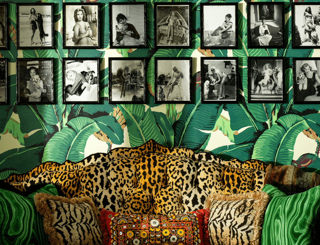 A wall decorated with framed black and white photographs of people and dogs, set against a bold green banana leaf print wallpaper. A leopard-print sofa with decorative pillows is visible in the foreground.