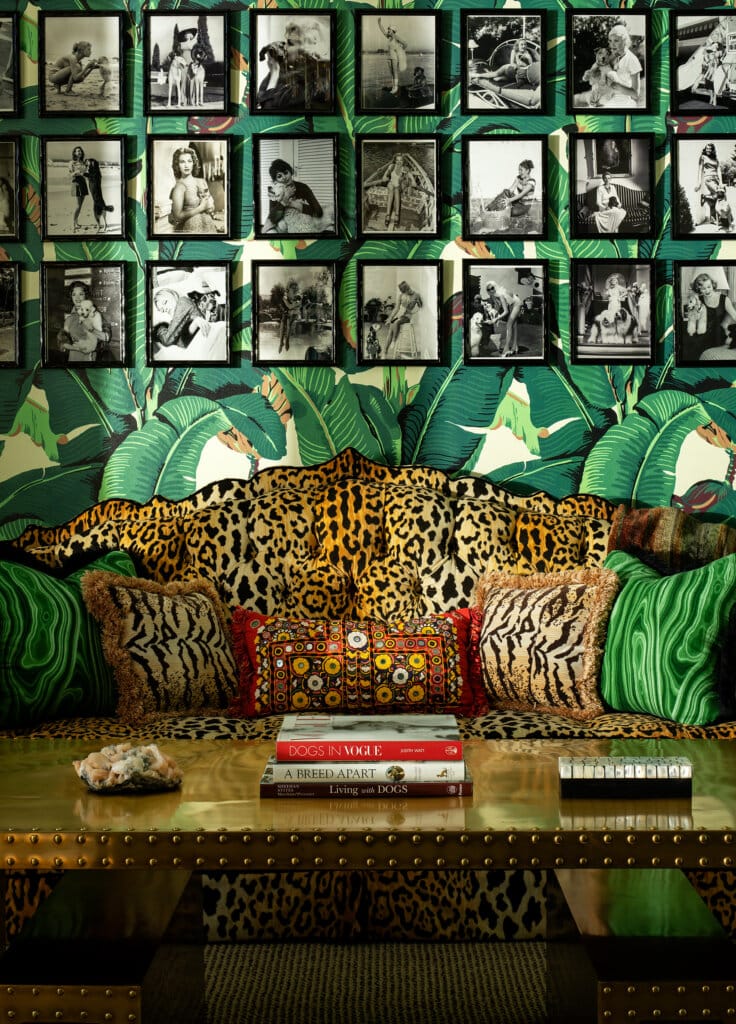 Leopard-print couch and cushions with a cat lying on the floor in front, green tropical wallpaper behind, a coffee table stacked with books, and a grid of black-and-white framed photos along the top.
